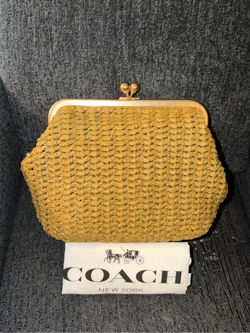 Coach Kisslock Frame Bag 27 Brass/Muted Olive Straw & Calf Leather NWT